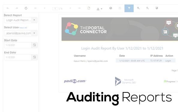 Auditing-reports