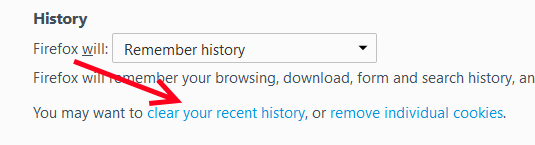 Clear Cache - Firefox - 4
